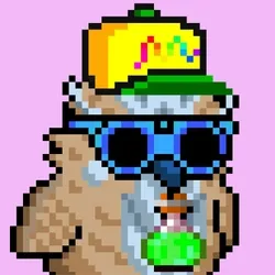 BIRDYBITE #1556