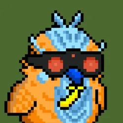 BIRDYBITE #3777
