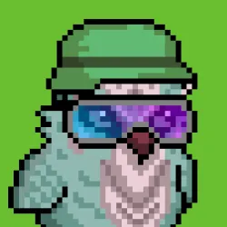 BIRDYBITE #1005