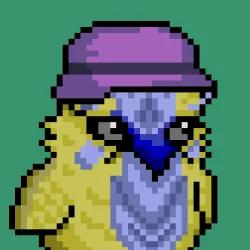 BIRDYBITE #503