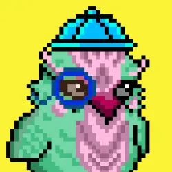 BIRDYBITE #529