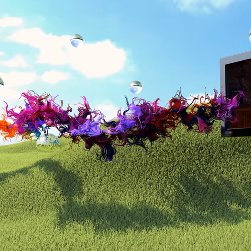 The Story of a Seeker