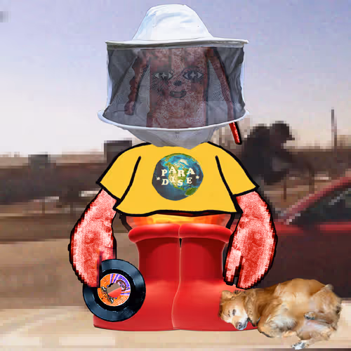Lawbstarz