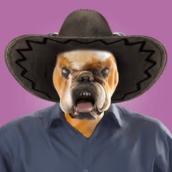 Bulldog #41