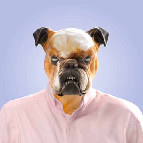 Bulldog #21