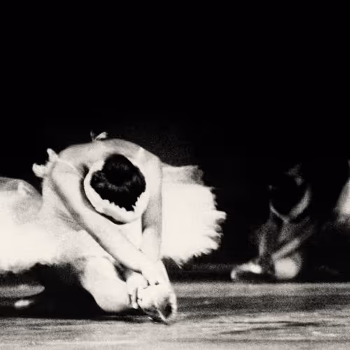 Swan Lake - NJvO01QI7m