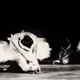 Swan Lake - NJvO01QI7m