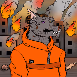 144