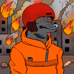 67