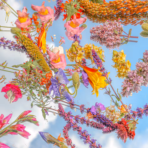 Floral Candy