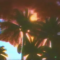 burning skies