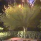 plans made in the bushes