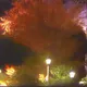 after midnight the trees know stuff