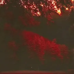 they've come to take me