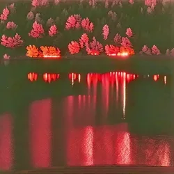 distant fire draws me closer