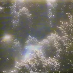 purgatory