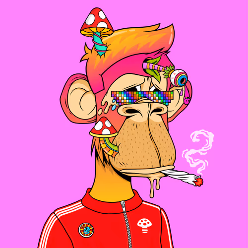 Psychonautapedivision
