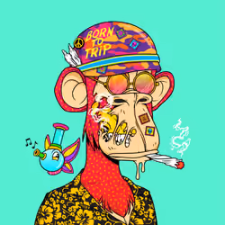 Psychonaut Ape Division #2173
