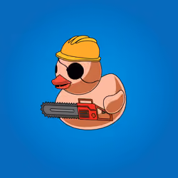 Duck #240