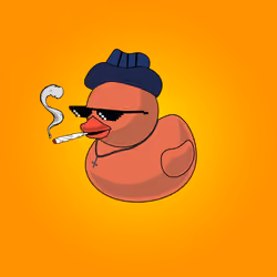 Duck #19