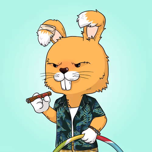 Bunnybonanza