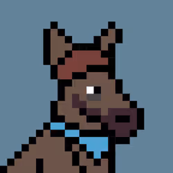 Aussie #3803