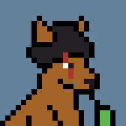 Aussie #2565