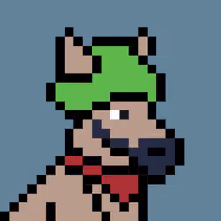 Aussie #2566