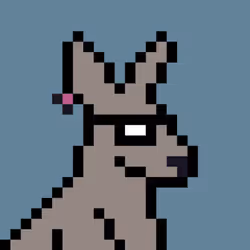 Aussie #2967