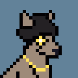 Aussie #2583
