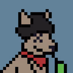 Aussie #4895