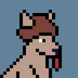 Aussie #1447