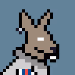 Aussie #2553