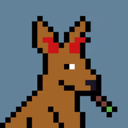 Aussie #3304
