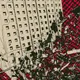 red concrete