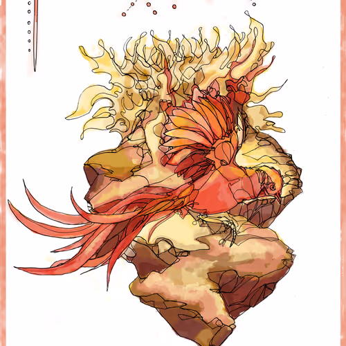 Unidentified contract