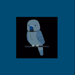 Parrot?