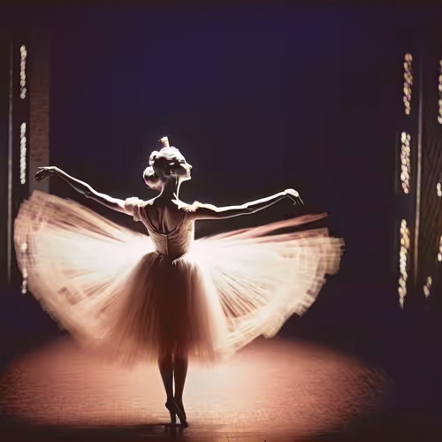 Dance Stills Art Of Dance