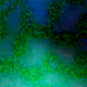 Relic 0x781779