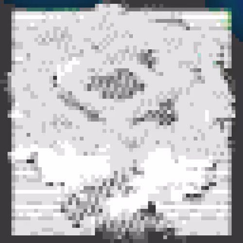 Relic 0x896646