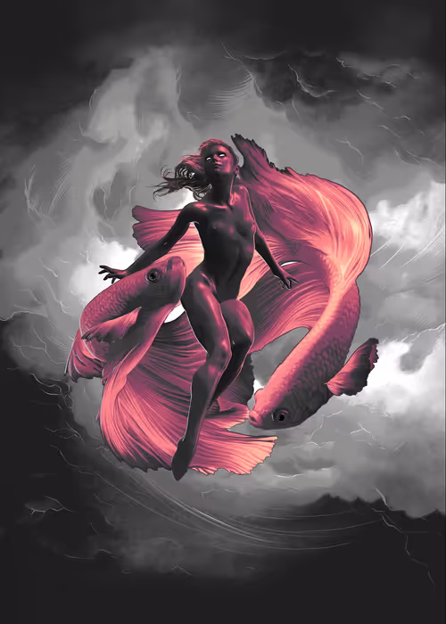 Item #29800020008 Media