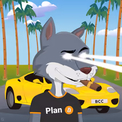 Billionaire Coyote #1441