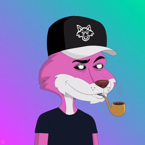 Billionaire Coyote #363
