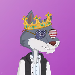 Billionaire Coyote #331