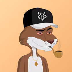 Billionaire Coyote #729