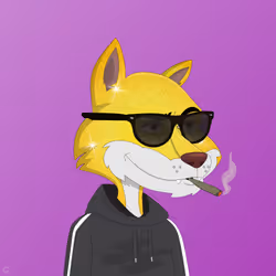Billionaire Coyote #55