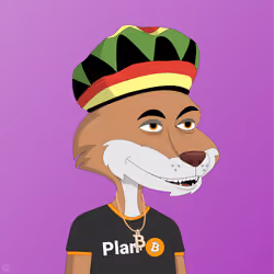 Billionaire Coyote #1417