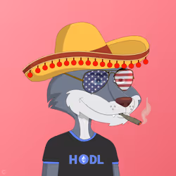 Billionaire Coyote #499