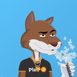 Billionaire Coyote #1116