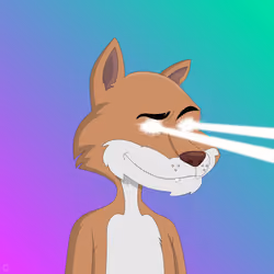 Billionaire Coyote #893